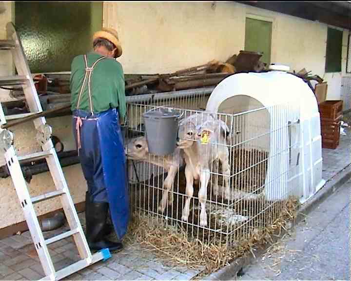 Ferienwohnung im Ostallgäu in der Nähe der Königsschlösser